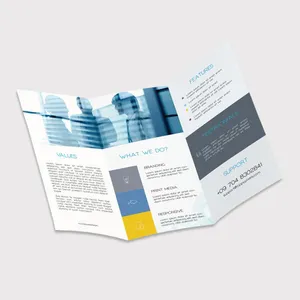 Großhandel benutzer definierte billige a5 Business Werbung Flyer Karte und kommerzielle Poster Broschüre Drucks ervice