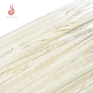 Chất lượng cao bán buôn tẩy trắng dài gà lôi lông 60-65cm cho trang trí - Product Image 4