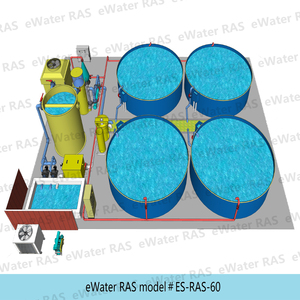 Simplee — équipement agricole de crevettes ras, systèmes d'aquupuncture, conception de système d'acupuncture recirculation, équipement agricole du poisson - Product Image 2