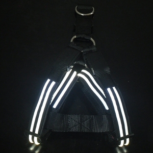 Coleira de cachorro personalizada brilha no escuro piscando led - Product Image 3