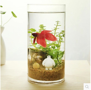 Jarrón <span class=keywords><strong>de</strong></span> <span class=keywords><strong>Vidrio</strong></span> Cilíndrico Simple y Económico para Decoración <span class=keywords><strong>de</strong></span> Bodas en Casa - Product Image 4