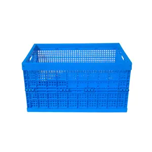 베스트 셀러 품질 회전율 접는 상자/상자 농업