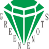 Shenzhen Greenstone Technology Limited logo