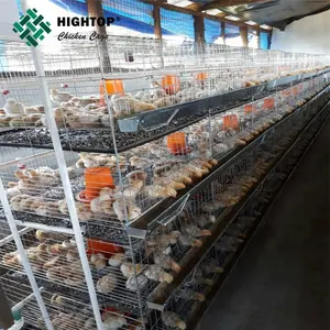 Vendita calda di tipo H gabbia di pollo per 1 giorno vecchio pulcini con accessori completa dalla Cina