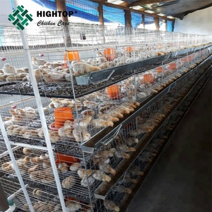 <span class=keywords><strong>Vente</strong></span> chaude Cage à poulets en acier galvanisé durable de type H Cage d'élevage de poussins pour poussins d'un <span class=keywords><strong>jour</strong></span> Accessoires complets Neuf - Product Image 6
