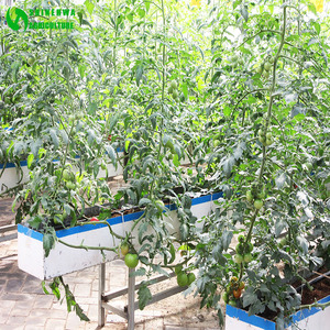 Tunnel Kas/Kokosnoot Teelt Apparatuur/Indoor Hydrocultuur Teeltsystemen - Product Image 1