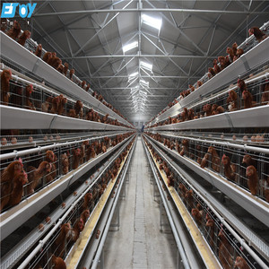 Bền Một Khung Pin Hai Lớp Gà Lồng Tự Động Gia Cầm Lồng Hệ Thống Cho Gia Cầm Nuôi Thiết Bị - Product Image 3