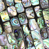 Perles en coquillage d'ormeau naturel en vrac pour la fabrication de bijoux, 6x8mm, 8x10mm, 8x12mm, brins rectangulaires