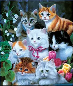 Picture 3d Wallpaper 3d Cat Picture Lenticular Poster With Flip Effect