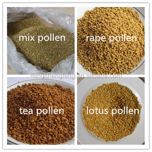 <span class=keywords><strong>Polen</strong></span> de abeja girasol - Product Image 2