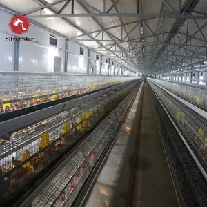 China galvanized poultry broiler chicken cage supplier