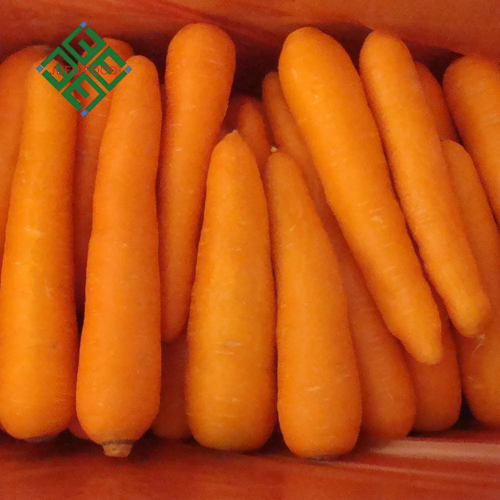 2017 nova safra de cenoura é a embalagem de cenoura fresca