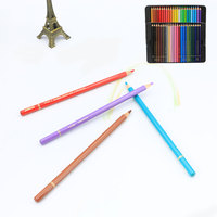 Ensemble de crayons de couleur personnalisés 48 crayons de couleur naturels en bois avec boîte en étain
