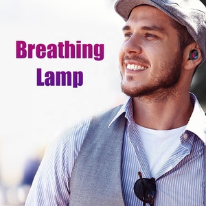 New <strong>Model</strong> BT 5.0 Super Mini Dual Earbuds Calling Sports <strong>Bluetooth</strong> <strong>Headset</strong> With Microphone - Product Image 6