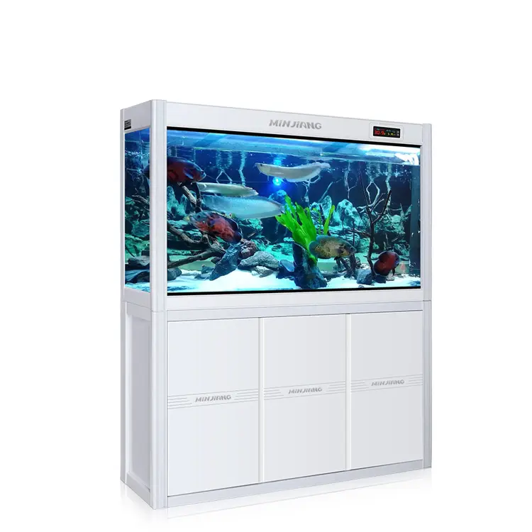 Minjiang Professional Aquarium Lighting Fish Tank For Sale