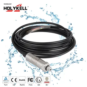 Holykell factory Submersible Water Pressure Sensor Waterproof IP68, Screw Threaded Mounting Support HPT603