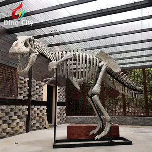 Esqueleto de dinossauro animado em tamanho real, 5m para o parque