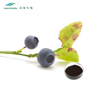 Extrato de frutas de bilberry 25% anocyanidins