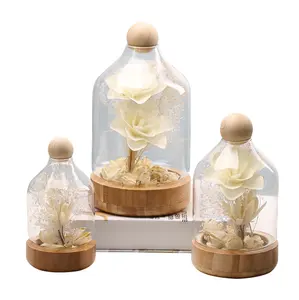 Beauty and the Beast Inspired Red Rose Flower LED Light with Fallen Petals in a Glass Dome on a Wooden Base