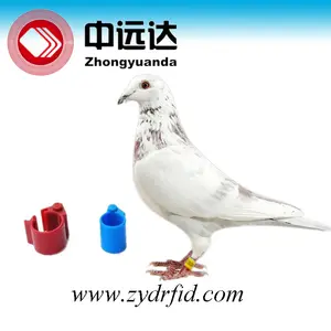Personnalisé EM4305 sortes de puce racing pigeon anneau