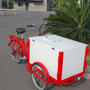 7 Speed Ice Cream Cargo Bike For Sale Adult Tricycle Cargo Bike For Sales UB-9005BW