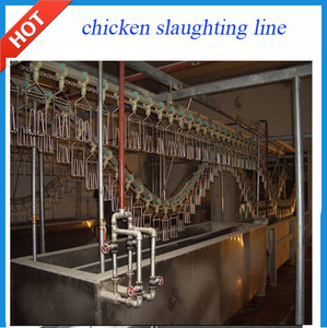 Equipos de procesamiento de aves de corral de sacrificio Para El matadero de <span class=keywords><strong>pollos</strong></span> - Product Image 3