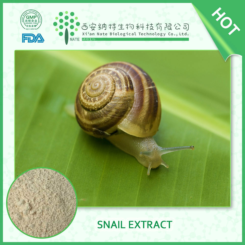 Helix aspersa Escargot Extrait de protéines 65% d'extrait de bave d'escargot