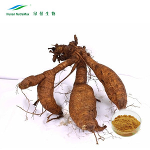 Pueraria puro extrato <span class=keywords><strong>Puerarin</strong></span> <span class=keywords><strong>60%</strong></span> -- 99%, Isoflavonas 40% Kudzu extrato - Product Image 2