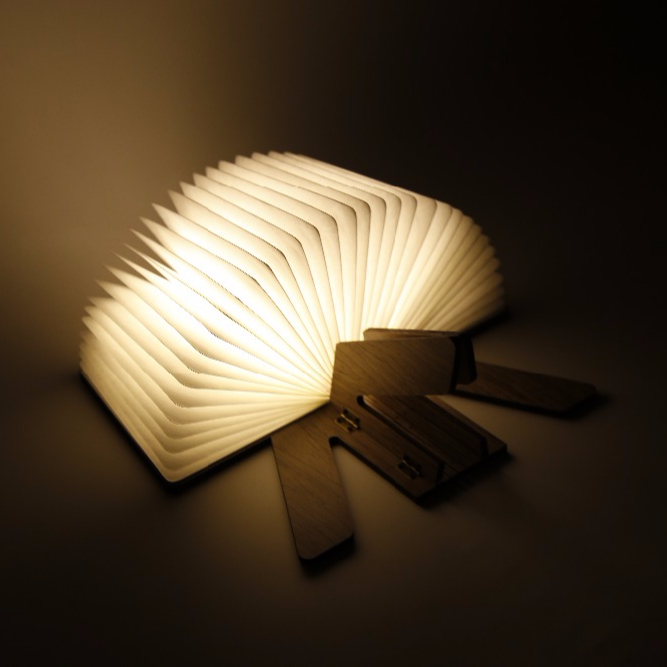 Nouveau design La forme de R Pliant USB Recharge Livre Lumière 2 Couleurs Led Lampe De Table De Bureau