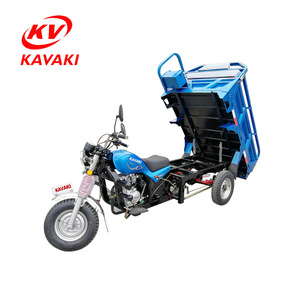 Motocicletas de Carga de Tres Ruedas de Filipinas, Triciclo para Adultos en Venta, Triciclo de Carga con Cabina y Reversa - Product Image 2