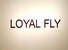 Guangzhou Loyal Fly Bags Co., Ltd. logo