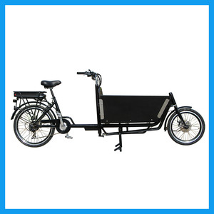 Holland 250 W Ebike Pedal assisted two wheels Load - Product Image 1