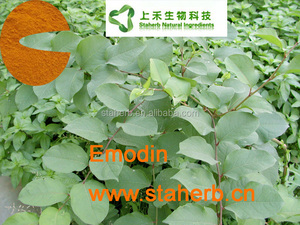 Bajo costo <span class=keywords><strong>emodina</strong></span> / <span class=keywords><strong>emodina</strong></span> de rizoma polygoni cuspidati - Product Image 3