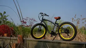 la grasa de los neumáticos 48v 500w hummer gaviota eléctricos crucero de la playa de la bicicleta