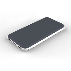 2つのUSBポートを備えたカスタムロゴポータブルパワーバンク10000mah - Product Image 1