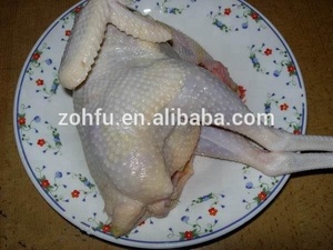 Machine à plumer les poulets à prix avantageux au Kenya / <span class=keywords><strong>Plumeuse</strong></span> à volailles pour canards à vendre - Product Image 6