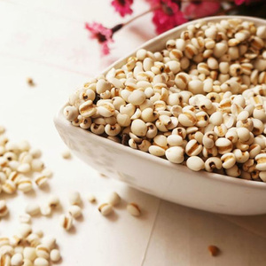 Graines de Larmes de Job en gros de Chine - Product Image 5