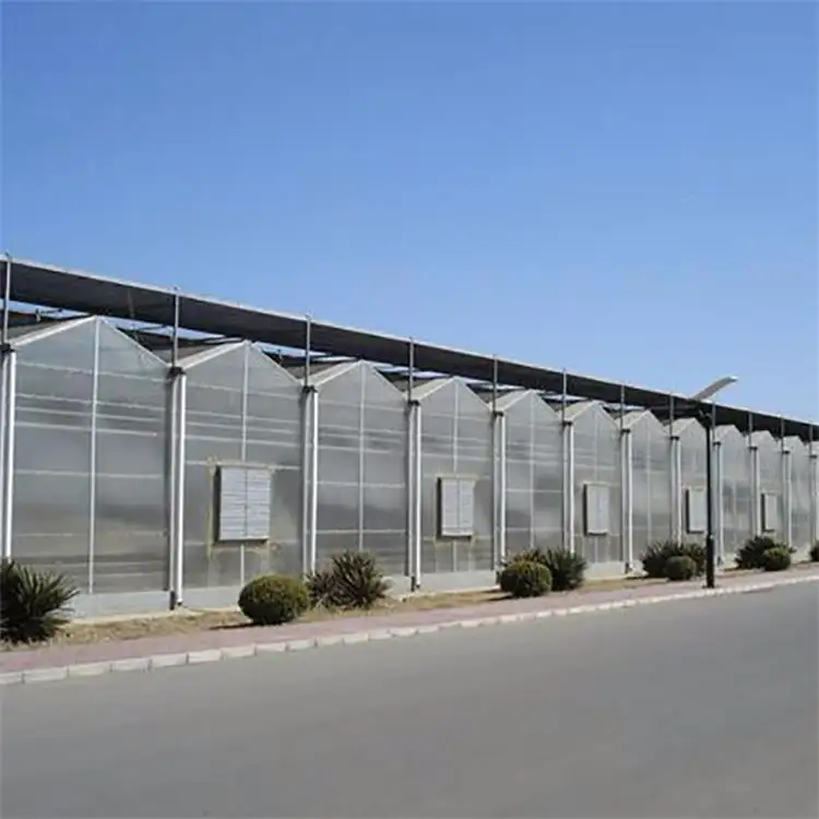 Skyplant Venlo प्रकार ग्लास ग्रीनहाउस