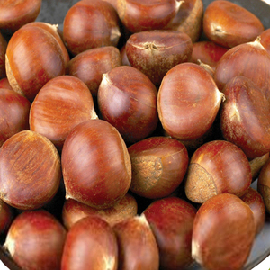 Dolce di <span class=keywords><strong>castagne</strong></span> prezzo all'ingrosso - Product Image 4