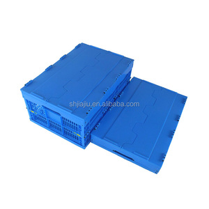 Casier pliable pour fruits, Structure personnalisée, solide, en plastique, avec couvercle pour légumes, pommes de terre, vente en gros - Product Image 6