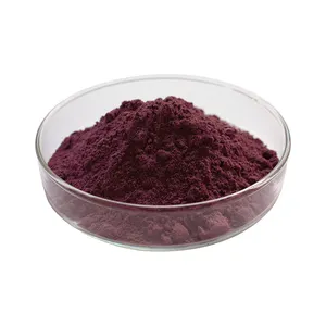 Pincredit Supply Red Grape Peel Color Natural Colorant Grape Skin Extract