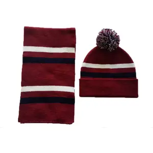 Custom Beanie Winter hats Designer Embroidered Warm with Logo And Scarf Knitted Hat set