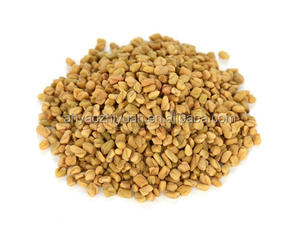 Biji Fenugreek Herbal Tradisional Tiongkok Kualitas Tinggi Hu Lu Ba