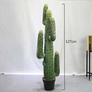 Nuovo messico <span class=keywords><strong>cactus</strong></span> tipi di 127 centimetri di altezza decorativo <span class=keywords><strong>cactus</strong></span> per plante artificielle - Product Image 1