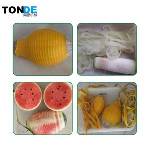 Éplucheuse industriel à haute efficacité pour ananas, fruits et manucure, g - Product Image 6
