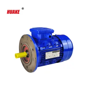 Hoge Kwaliteit 3 Fase 0.75kw Asynchrone Elektrische Motor Met Koperdraad