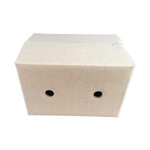 Thực Phẩm Chất Lượng Cao Hộp Carton Sóng Cho Thịt Gà Đông Lạnh Và Tôm - Product Image 5