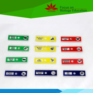 Para los niños microscopio 48 piezas de <span class=keywords><strong>4</strong></span> cajas de plástico microslides de juguete de plástico de enseñanza SIDA para los niños - Product Image 3