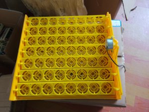 Mini Incubadora para 56 Huevos <span class=keywords><strong>de</strong></span> Gallina - Product Image 2