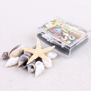 海洋生物標本アクリルシェル標本地理教育リソース - Product Image 1